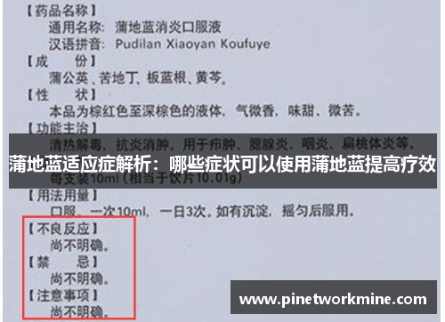 蒲地蓝适应症解析：哪些症状可以使用蒲地蓝提高疗效