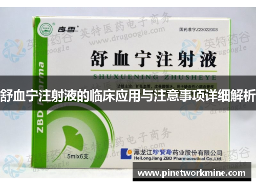 舒血宁注射液的临床应用与注意事项详细解析
